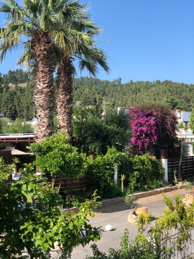 Halkidiki Greek Pride Seafront 4*